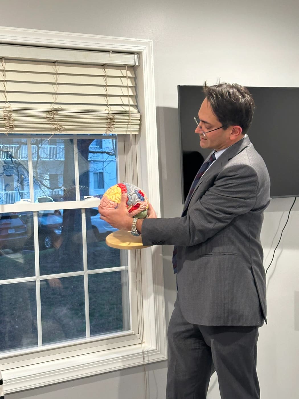 A provider explaining a brain model